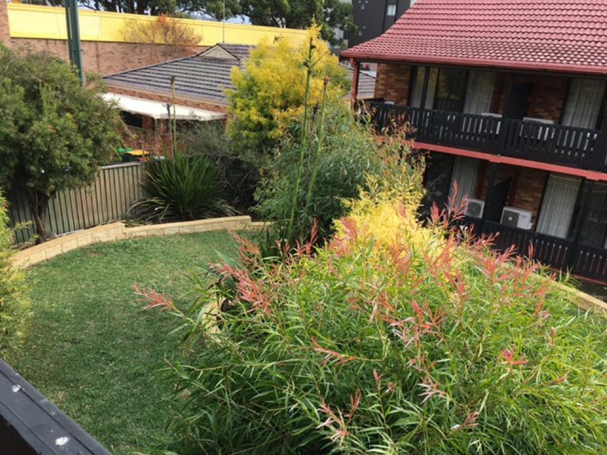 Maclin Lodge Motel Campbelltown Eksteriør billede